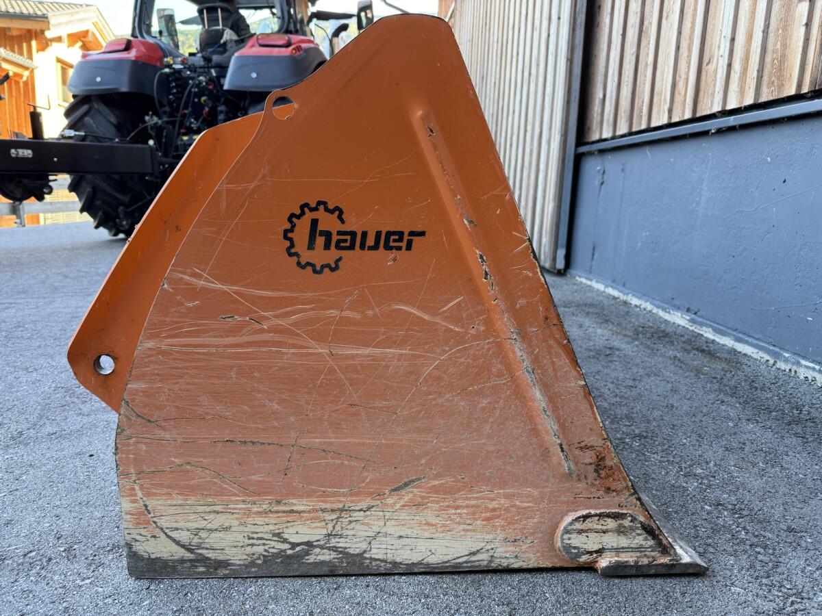 Hauer Schaufel 160 3