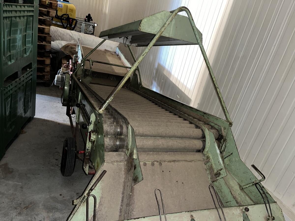 Kartoffel Sortiermaschine 2