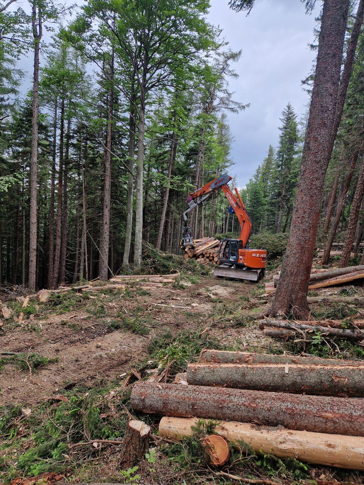 Verkaufe Bagger Prozessor Hitachi 225 1