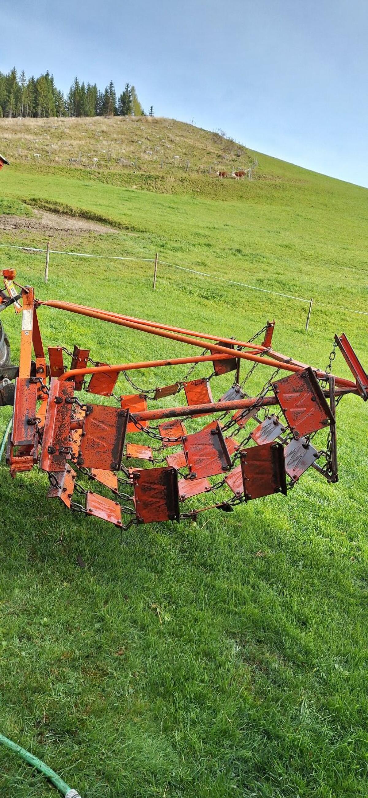 Wölfleder Wiesenegge 1
