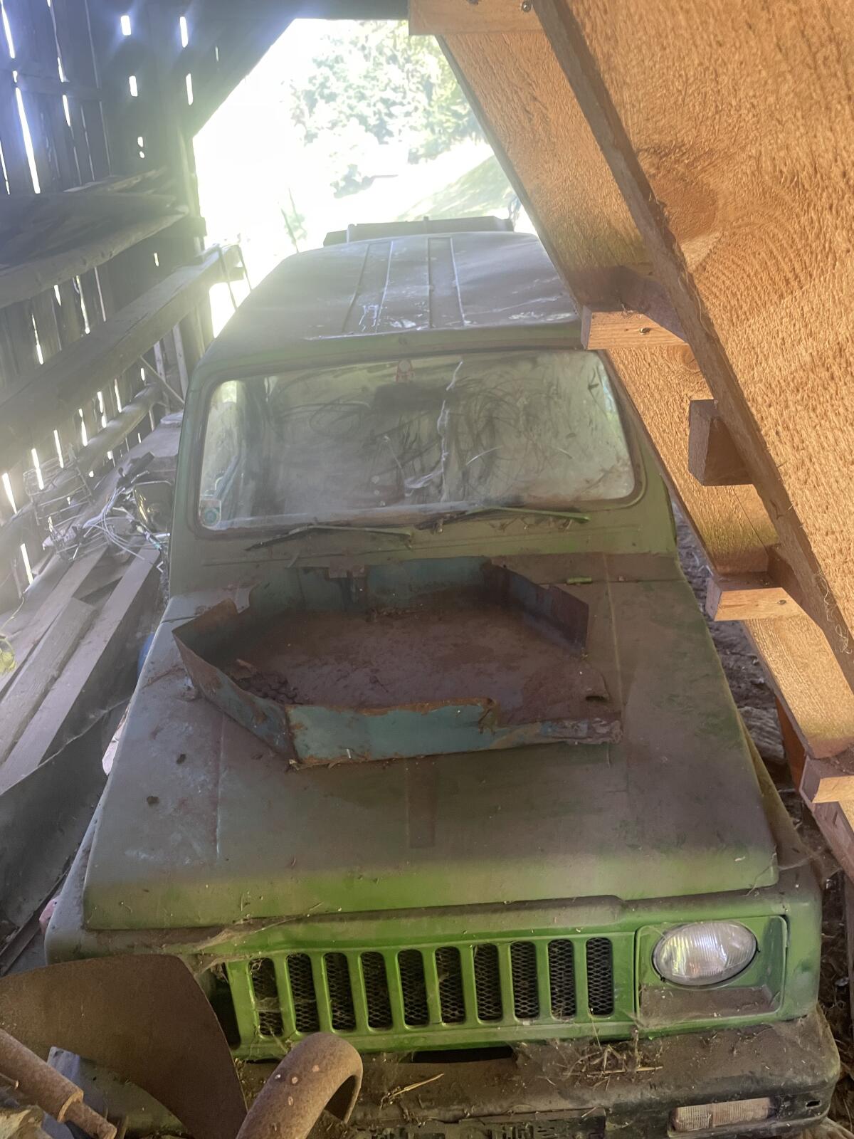Suzuki 1