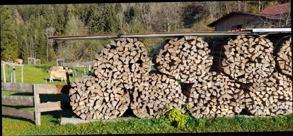 Brennholz, gemischt, trocken 2