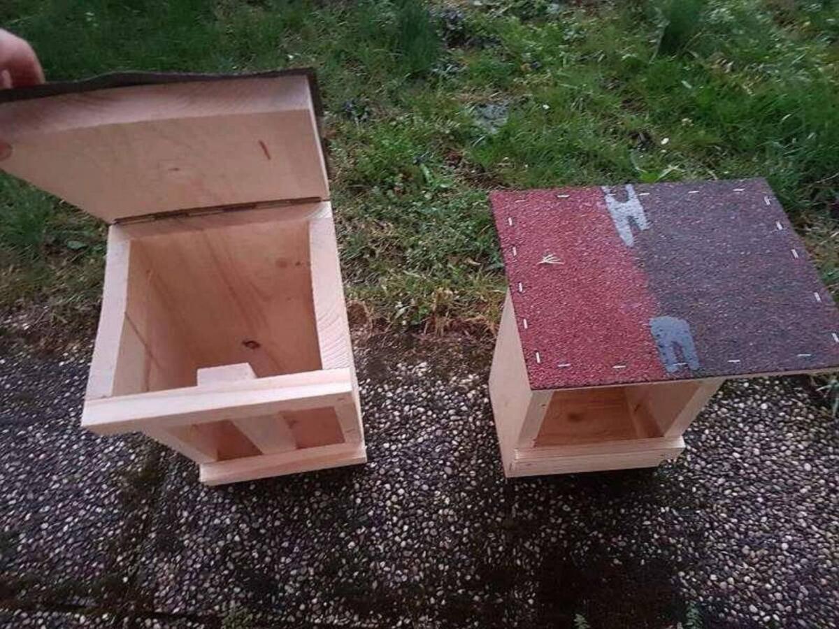 Salzlecken, Salzstein, Reviereinrichtung, Wildfütterung 2