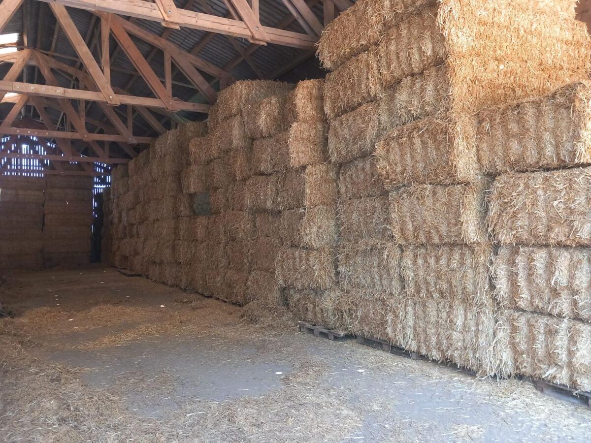 Stroh, Heu, Silage 2