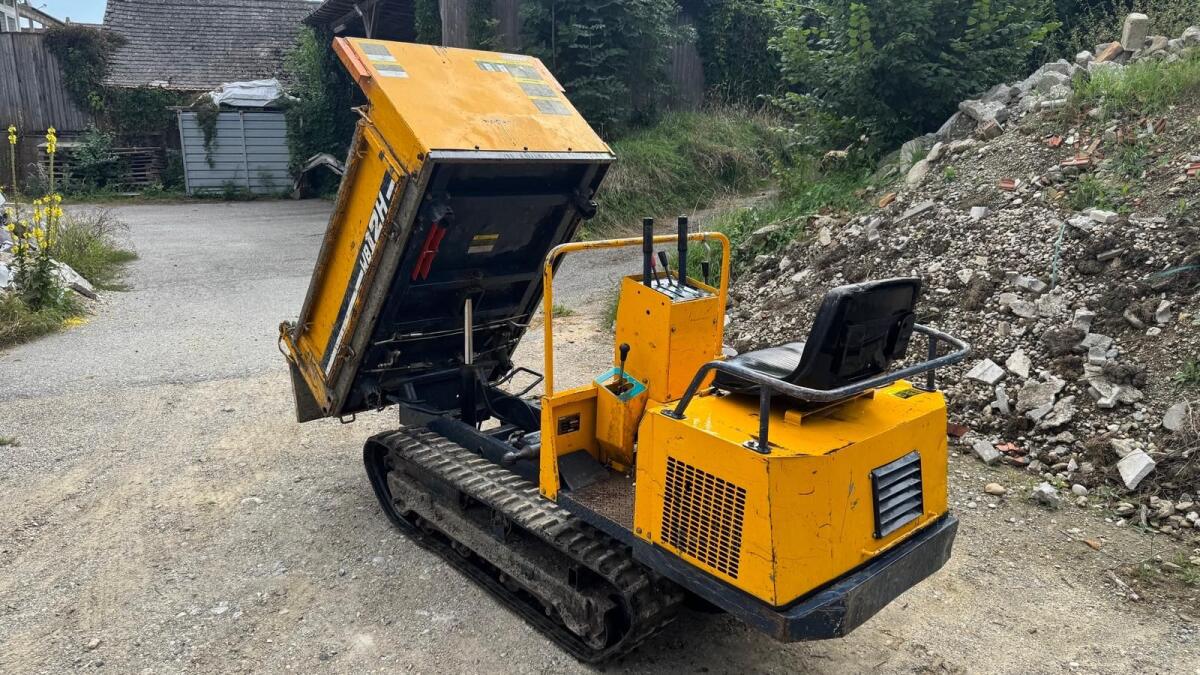 Raupentransporter Raupendumper 2