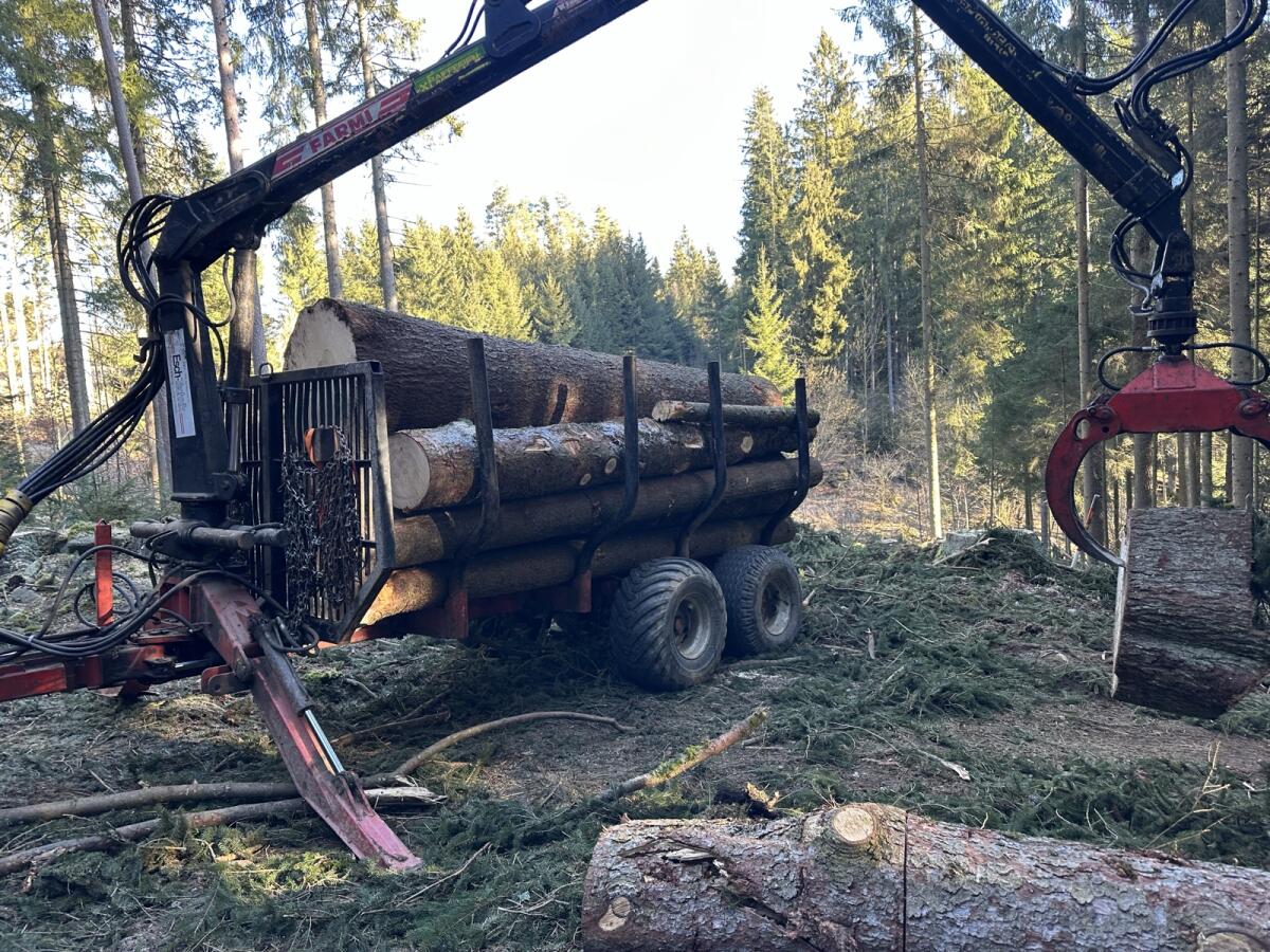 Holzrückung 2