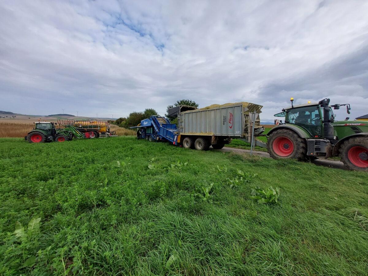 Bio Maissilageballen 2