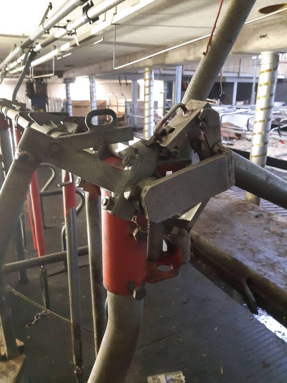 Verkaufe Schauer Selbstfang Halsrahmen Aufstallung 2
