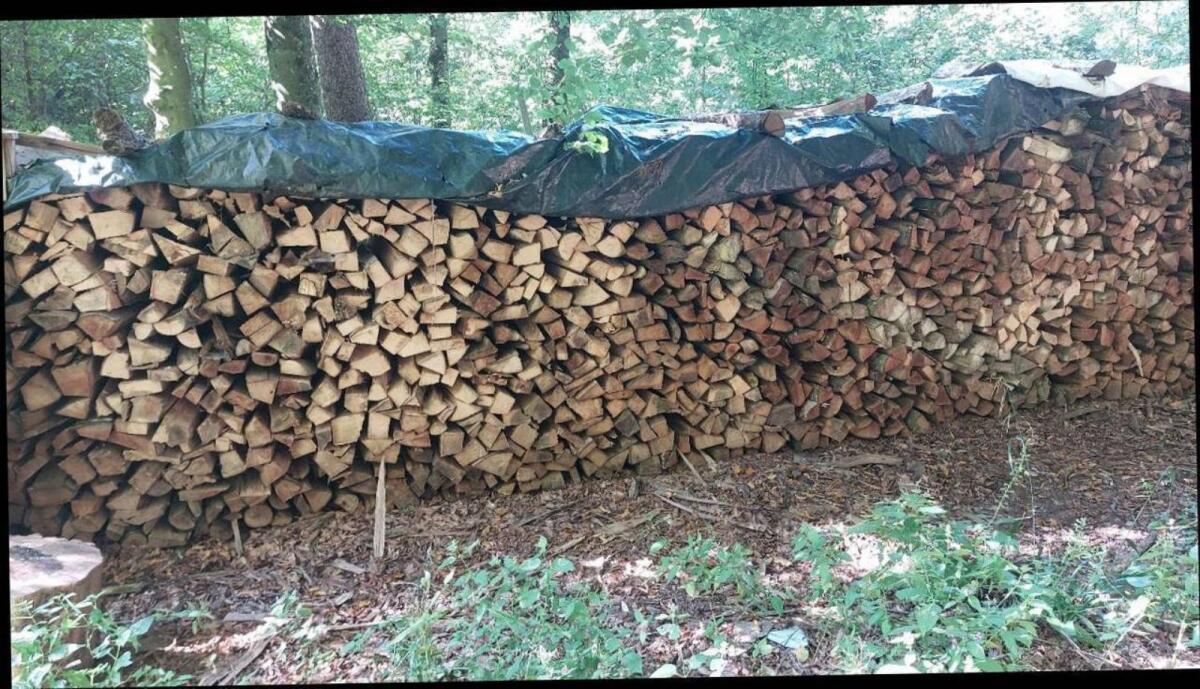 Buchenholz, Brennholz, Hartholz 3