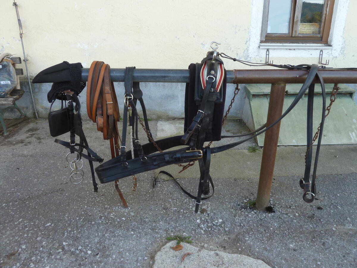 1-Spännergeschirr 1