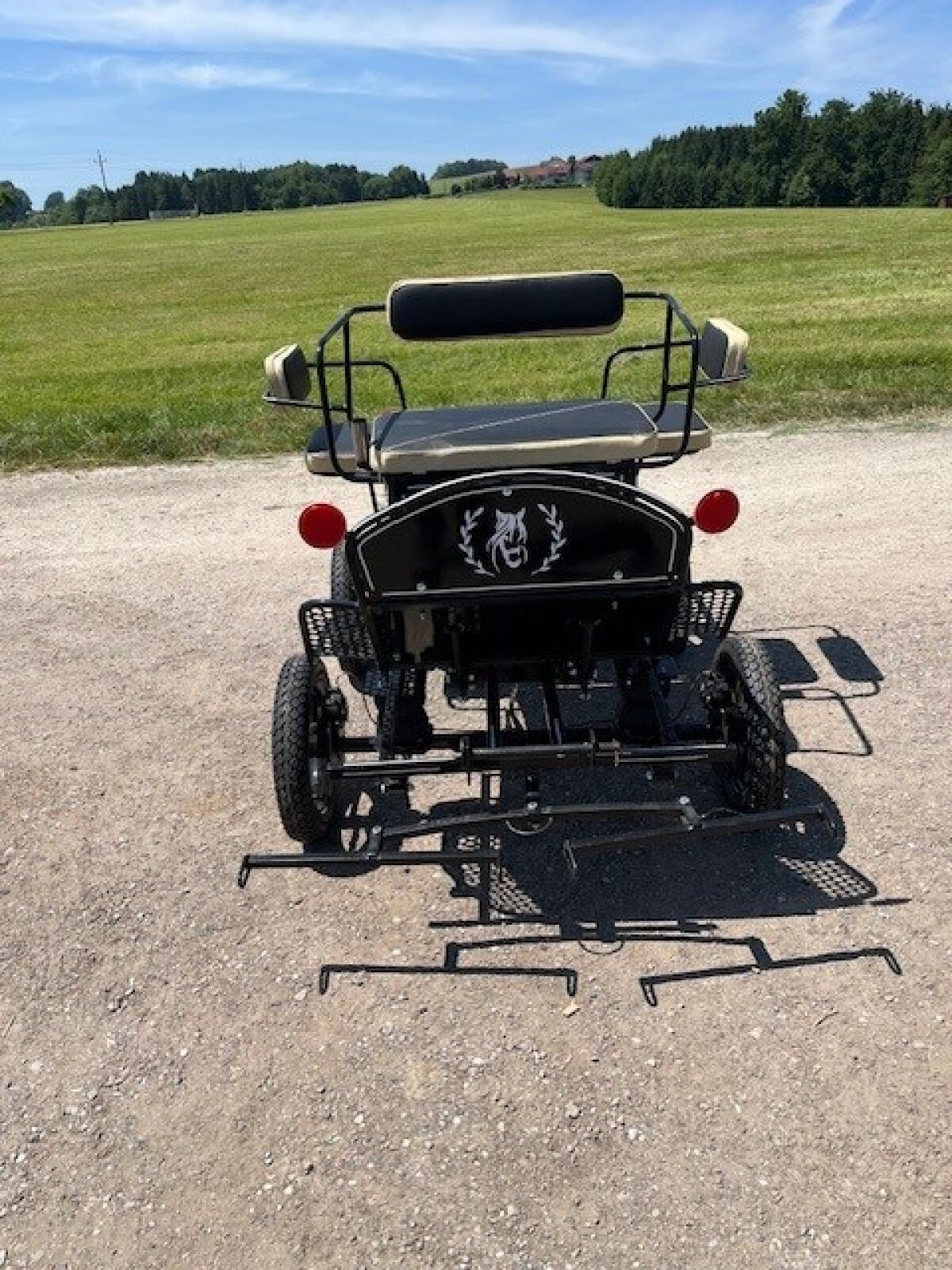 Mini Pony Kutsche Bj. 2025 3