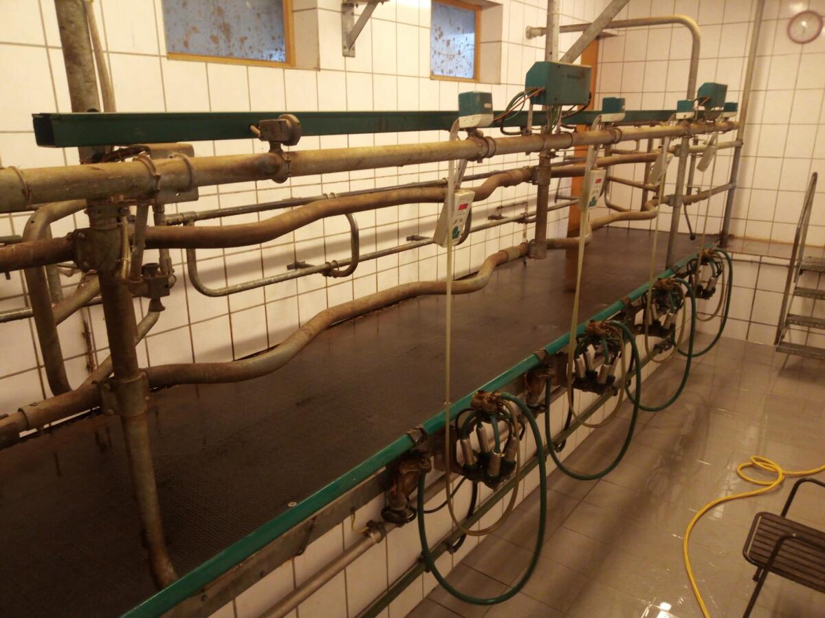GEA 4er Fischgräten-Melkstand Baujahr 2011 1
