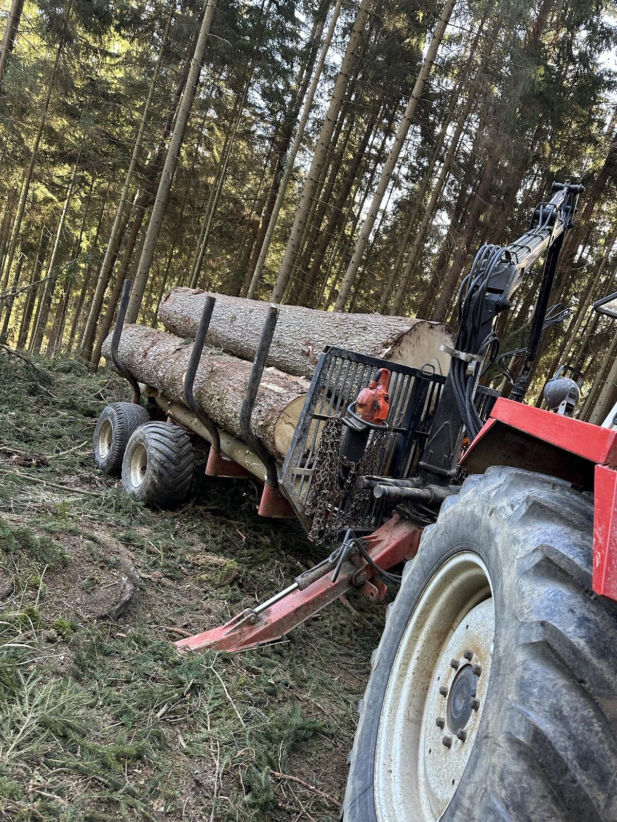 Holzrückung 3