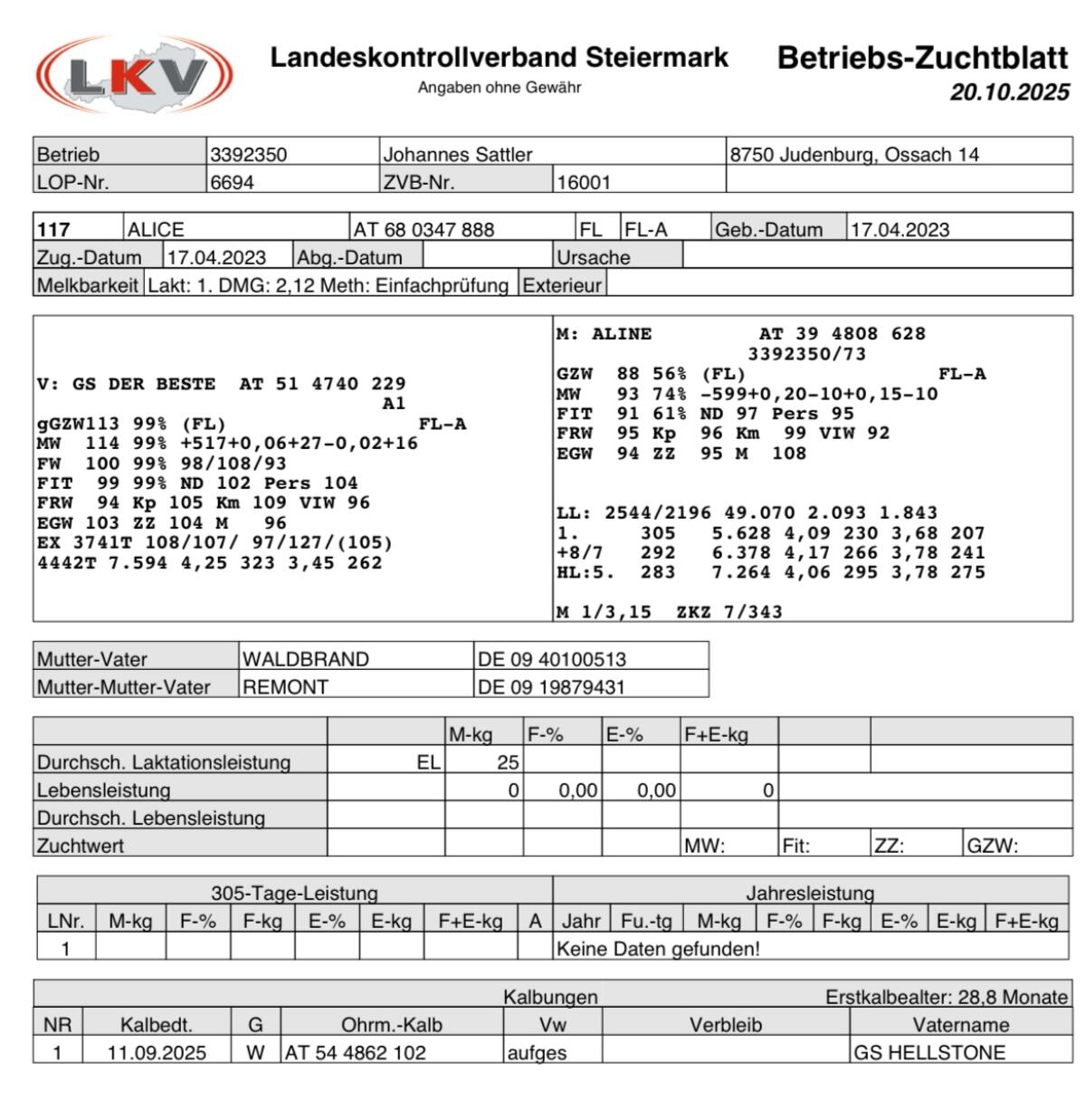 Bio Jungkuh Fleckvieh 3