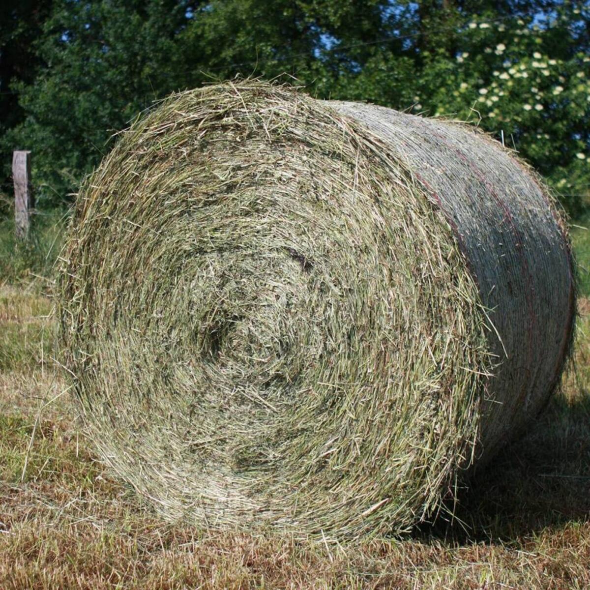 Heuballen 1