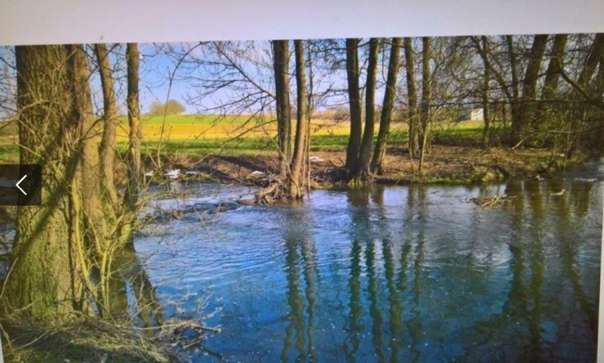 Fischrecht im Fluss mit See zu verkaufen, 2-armig, Salmoniden 2
