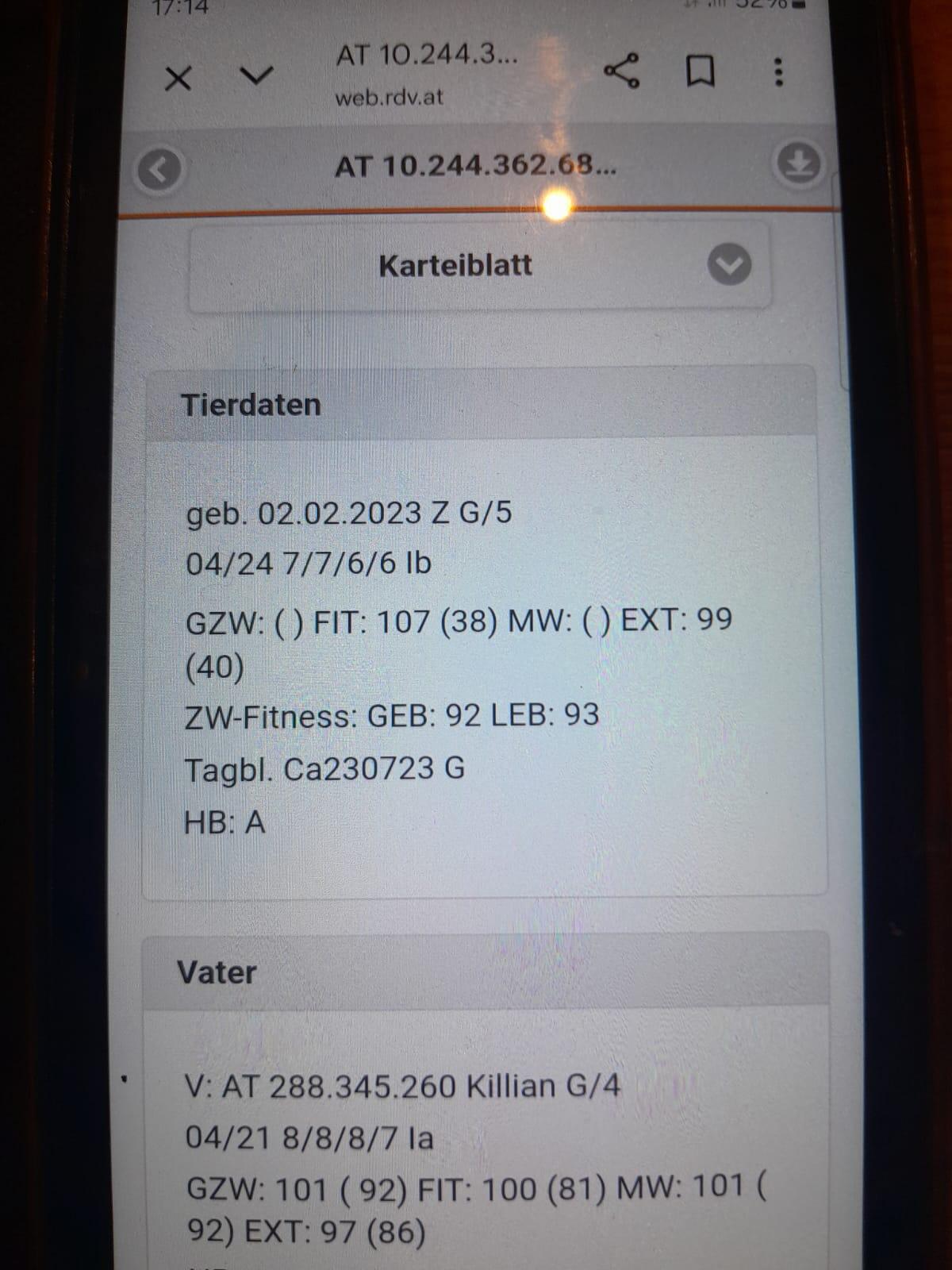 Hb bock GGz 1
