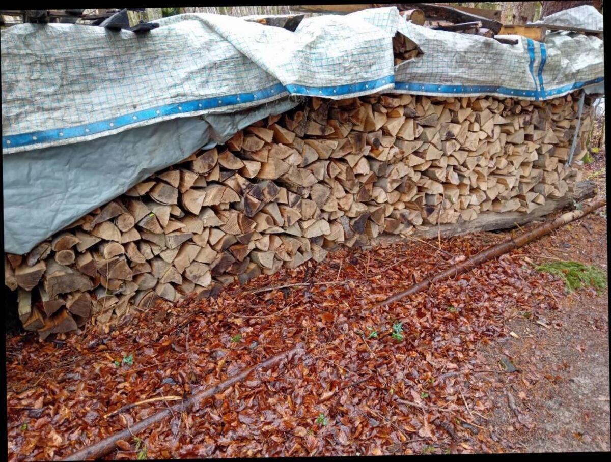Buchenbrennholz 2