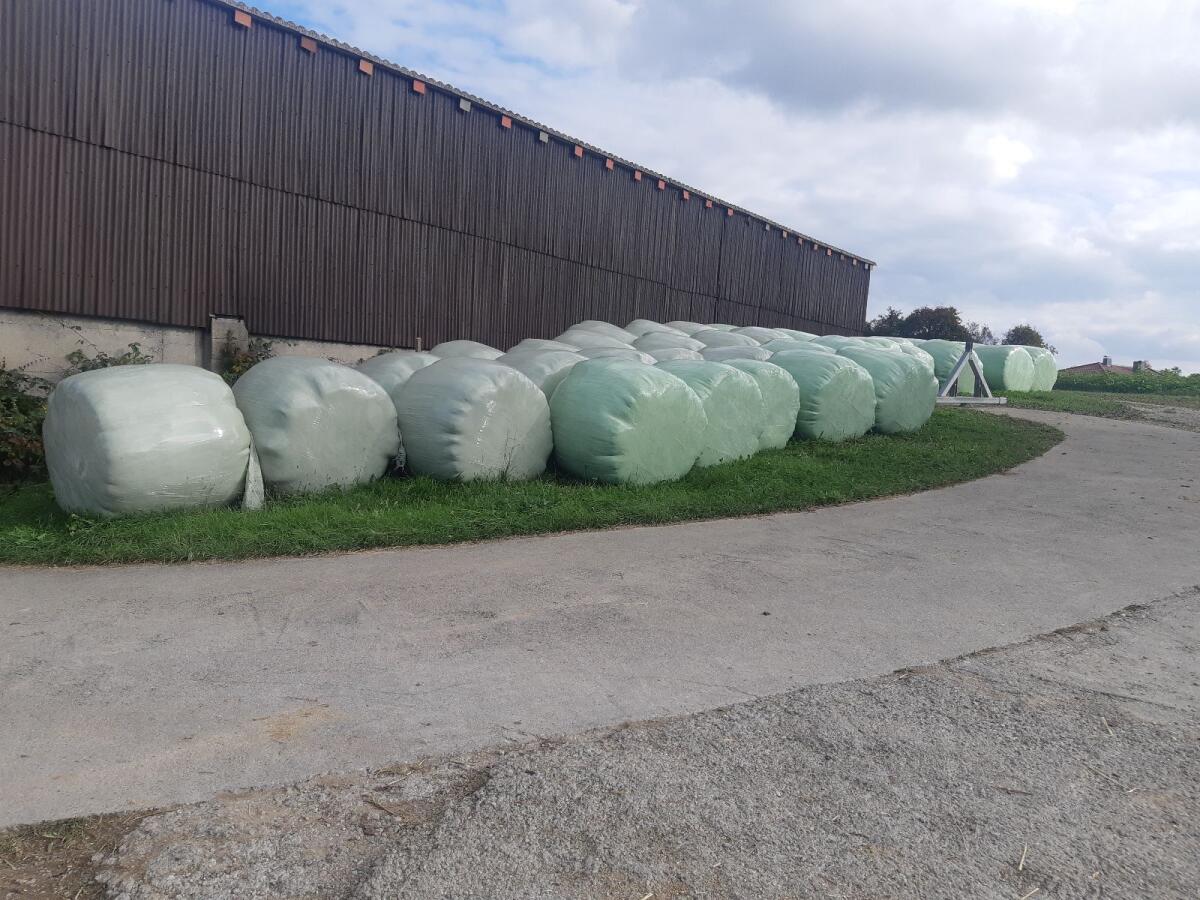 Silageballen 1