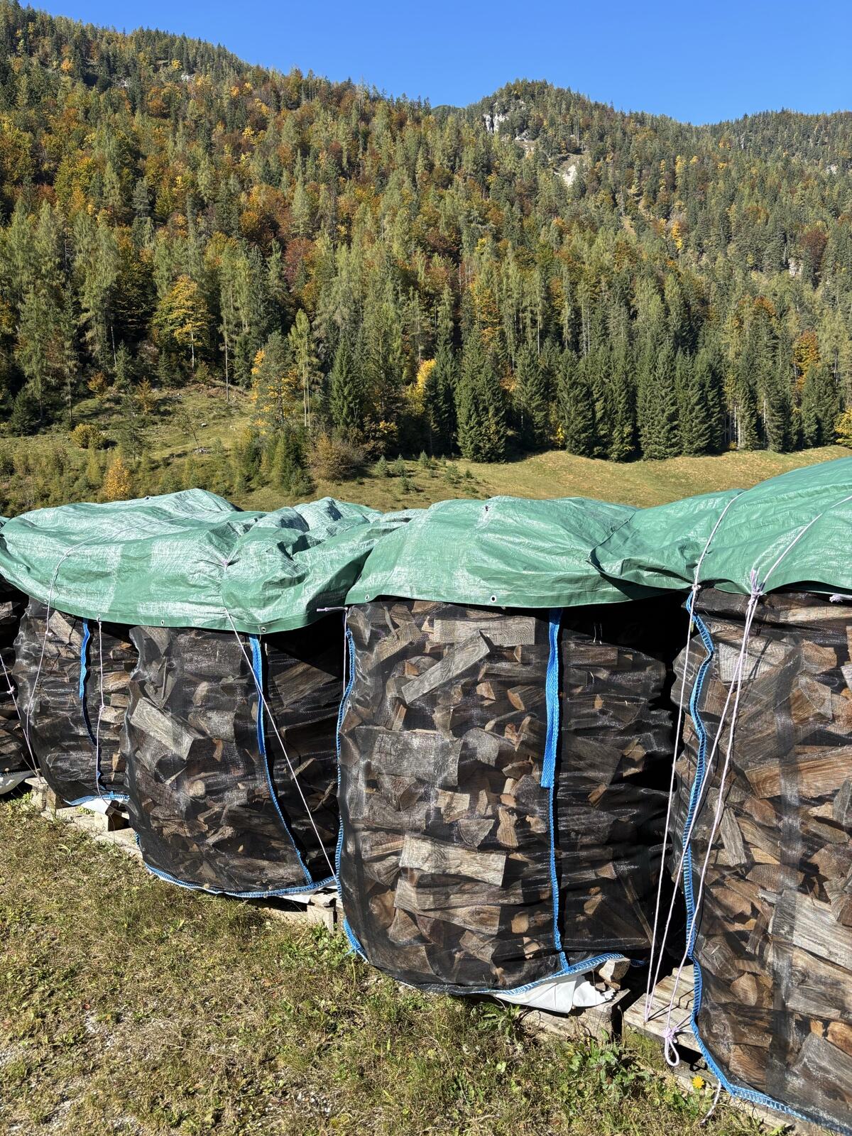 Buchen Brennholz 1