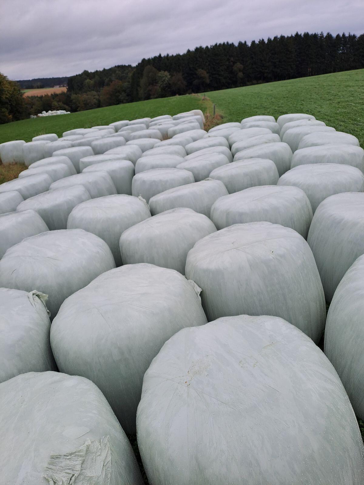 Silage Ballen 2