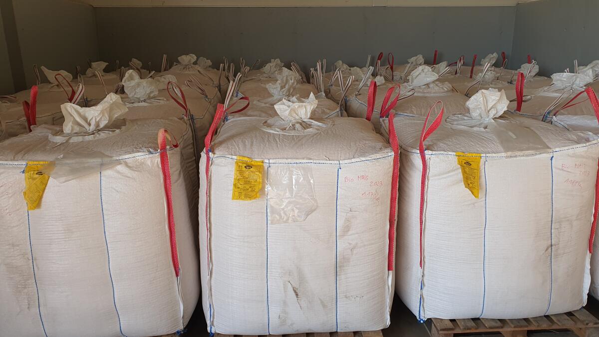 BIO Triticale 2