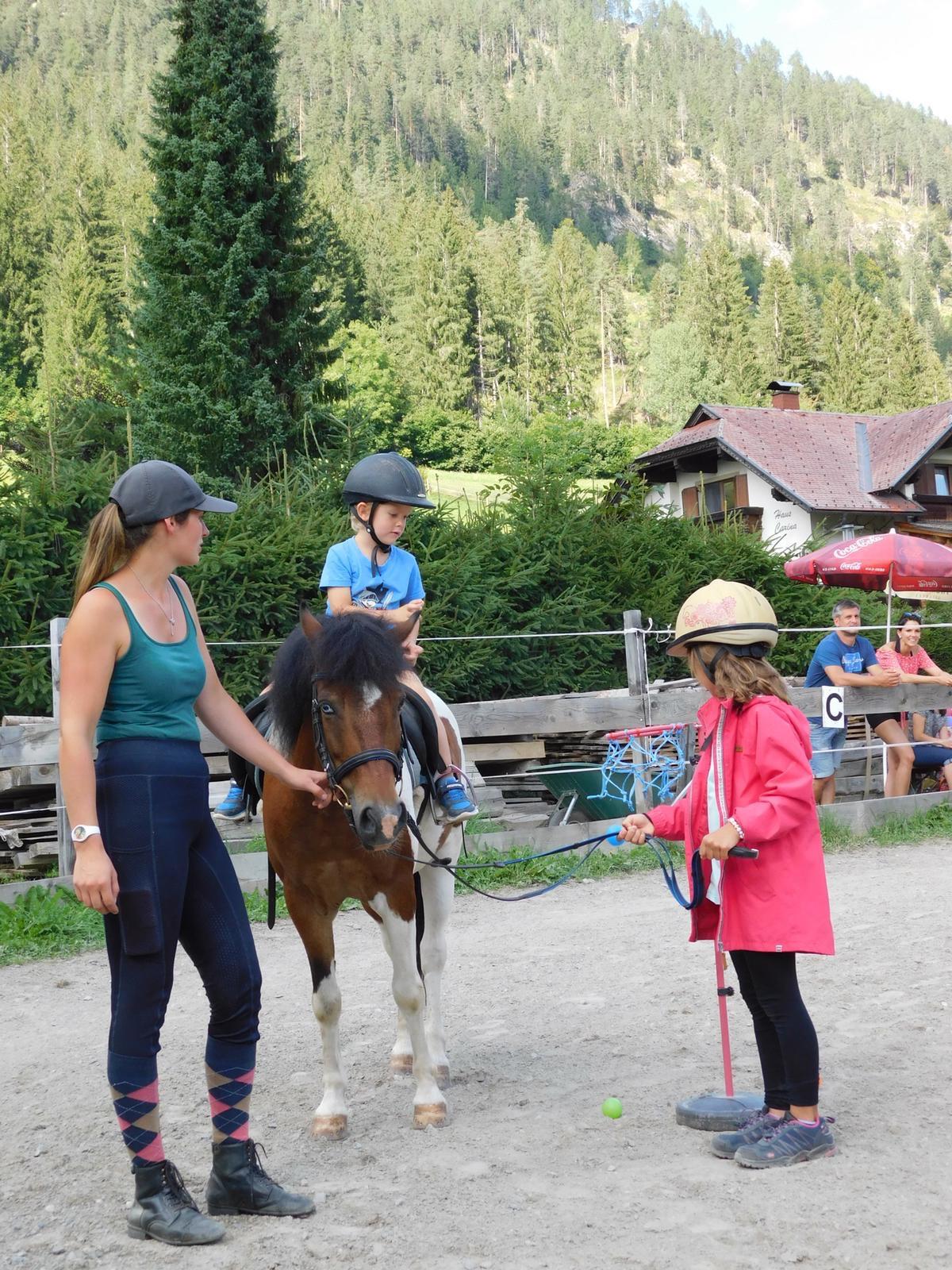 Ponywallach als Beisteller an Bestplatz abzugeben 3