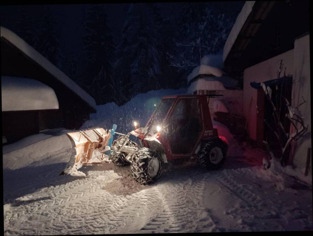 Schneepflug Hauer 2