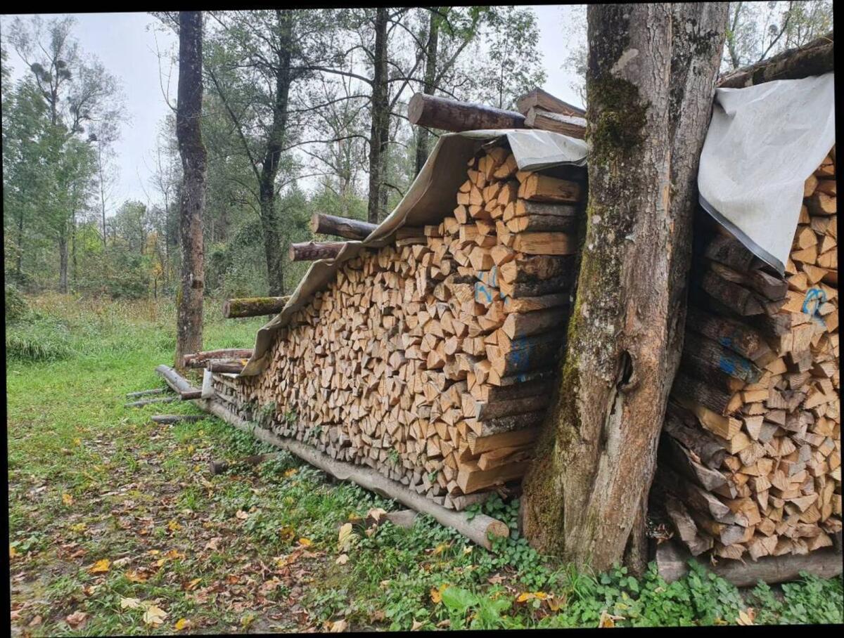 Brennholz 1