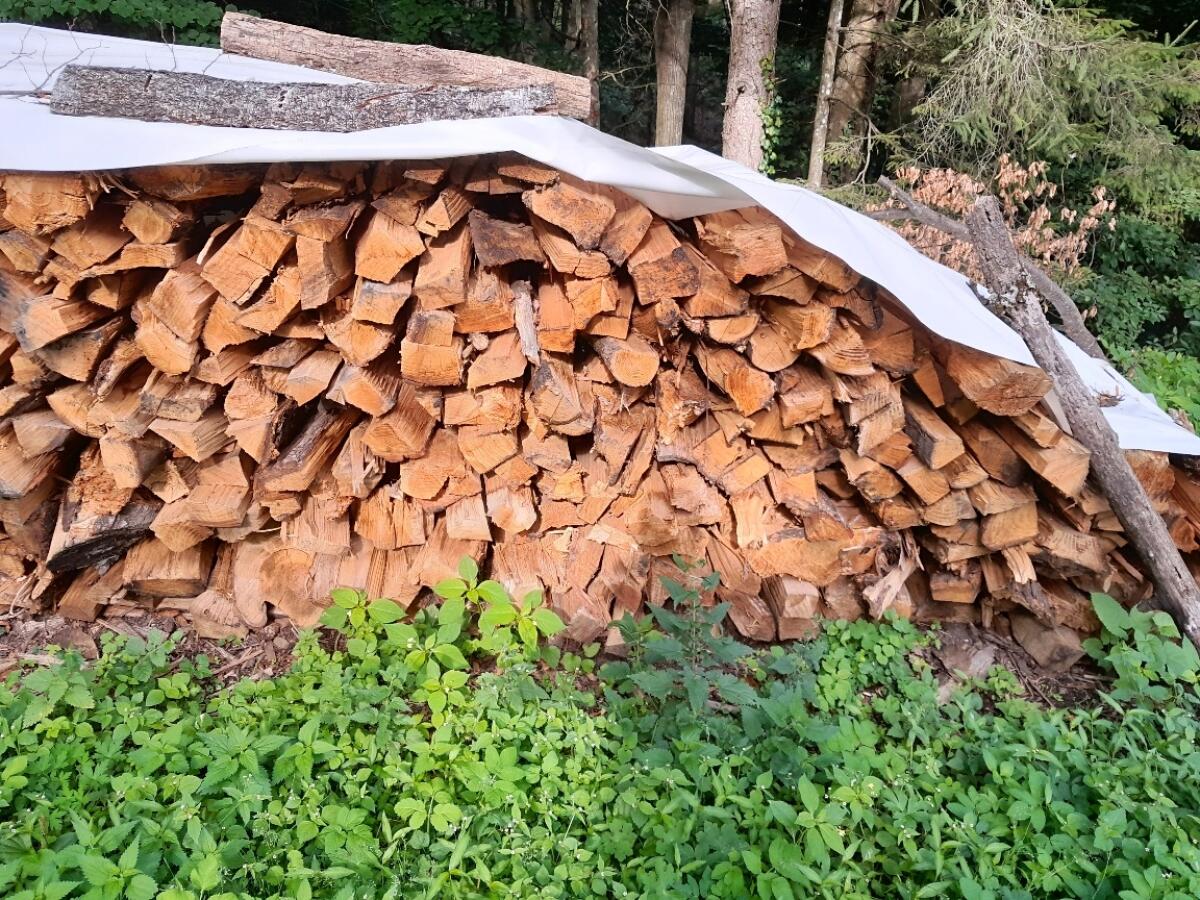 Brennholz-Scheiterholz Kastanie und Weichholz Fichte 2