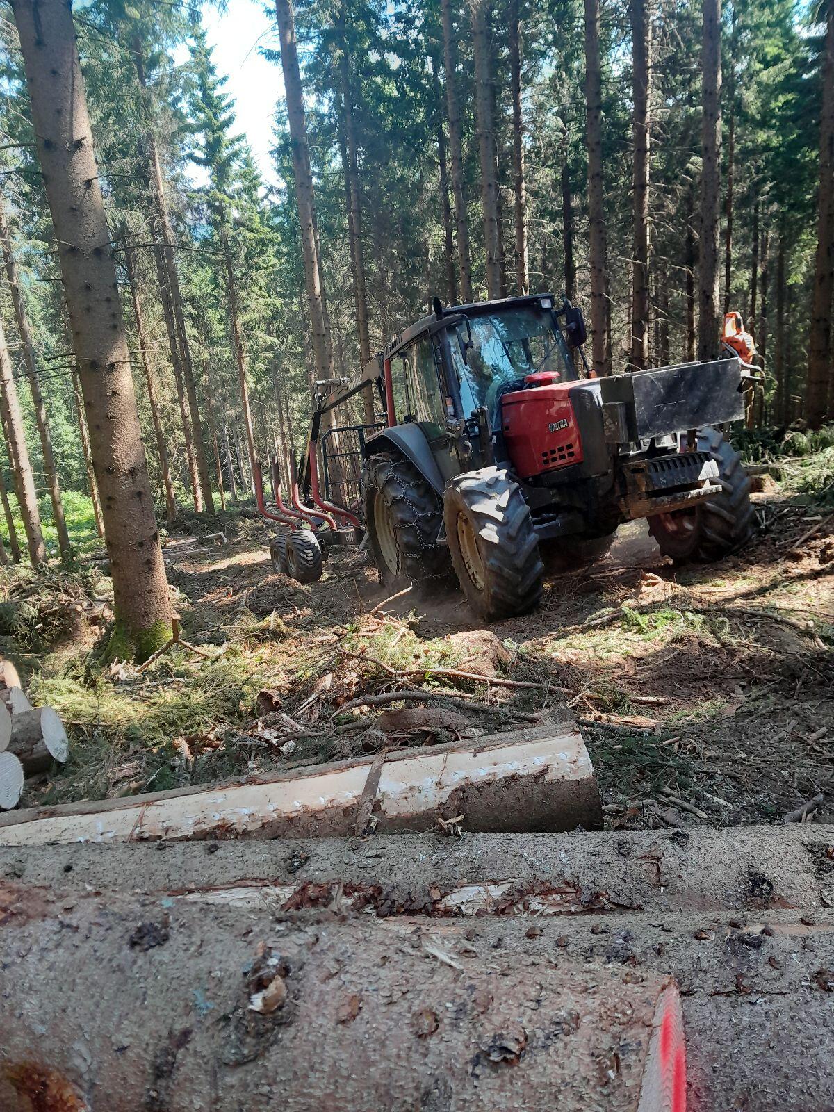 Holzernte, Schlägerung, Bringung 2