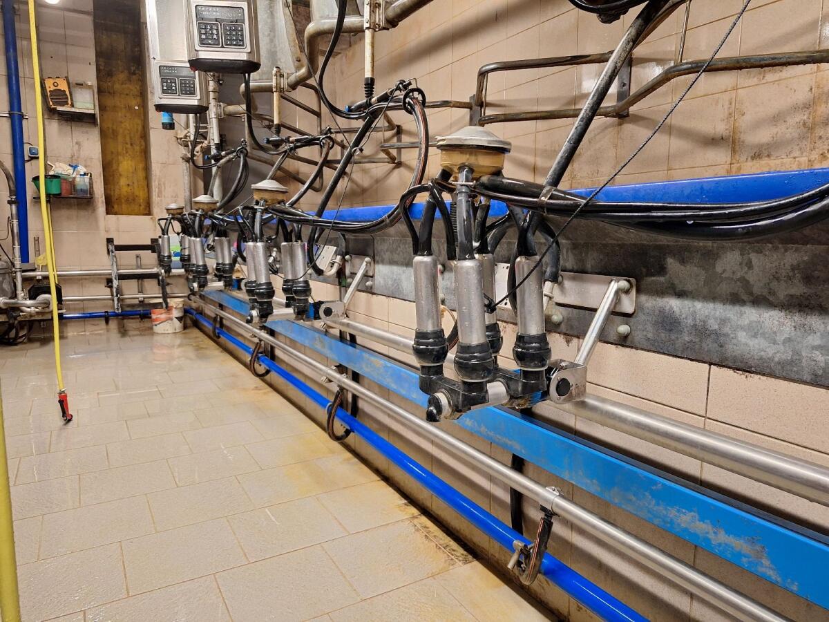Melkstand DeLaval 3