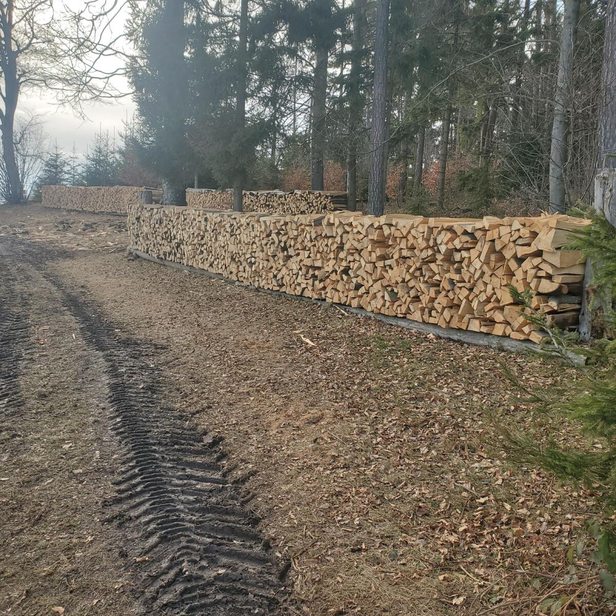 Verkaufe Brennholz Buche 1
