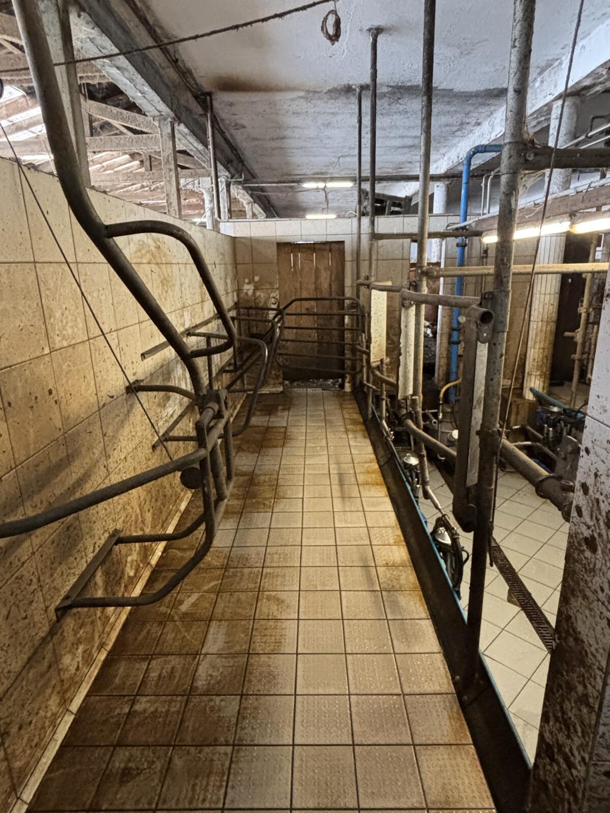 Melkstand Alfa Laval Fischgrät 2x3 3