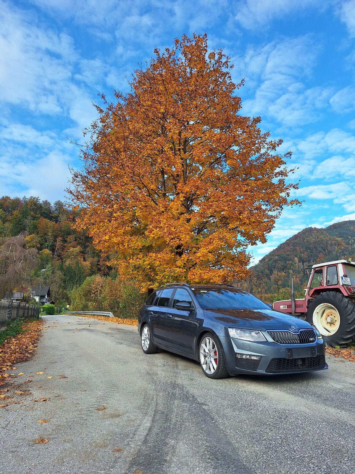 Skoda Octavia VRS Panoramadach 19" Navi Xenon 3