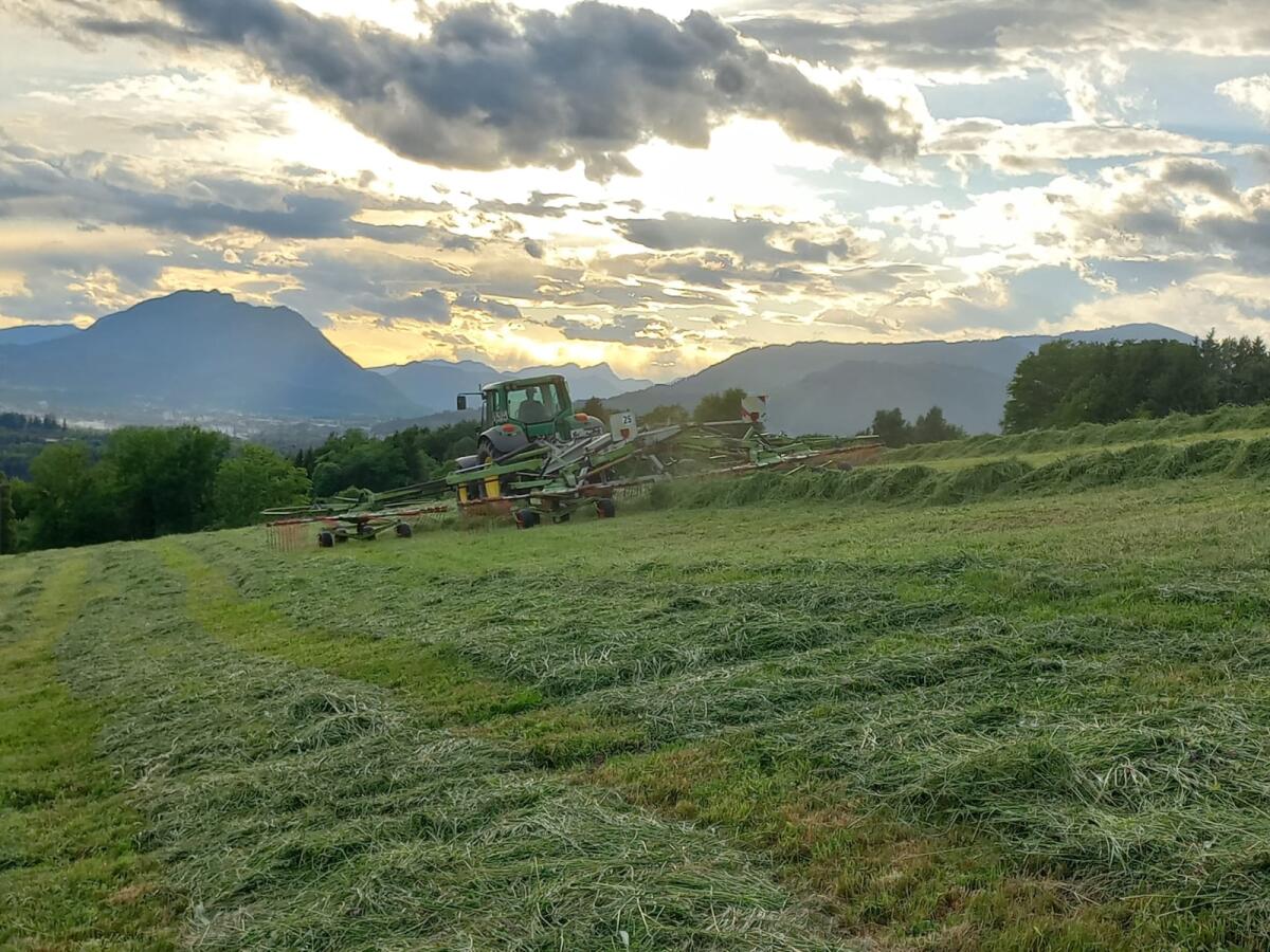 Vierfach-Schwader Claas Liner 3000 3