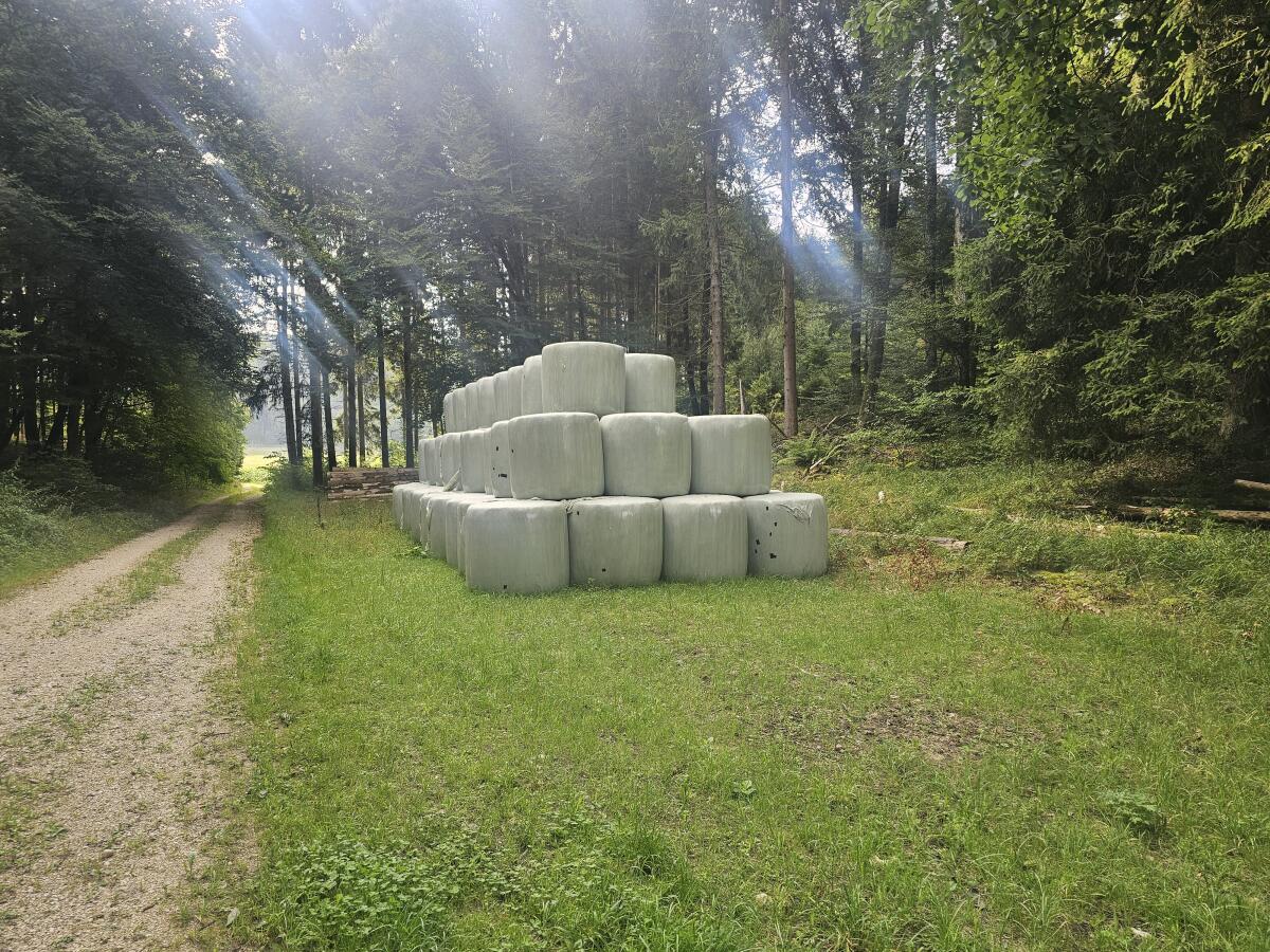 Gärheu Luzernegras 2. Schnitt 3