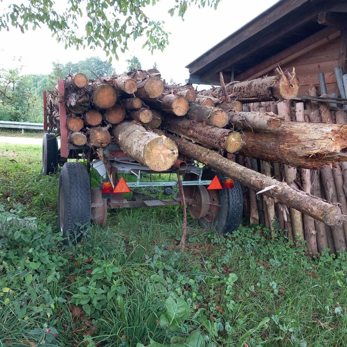 Anhänger, Holzwagen 3