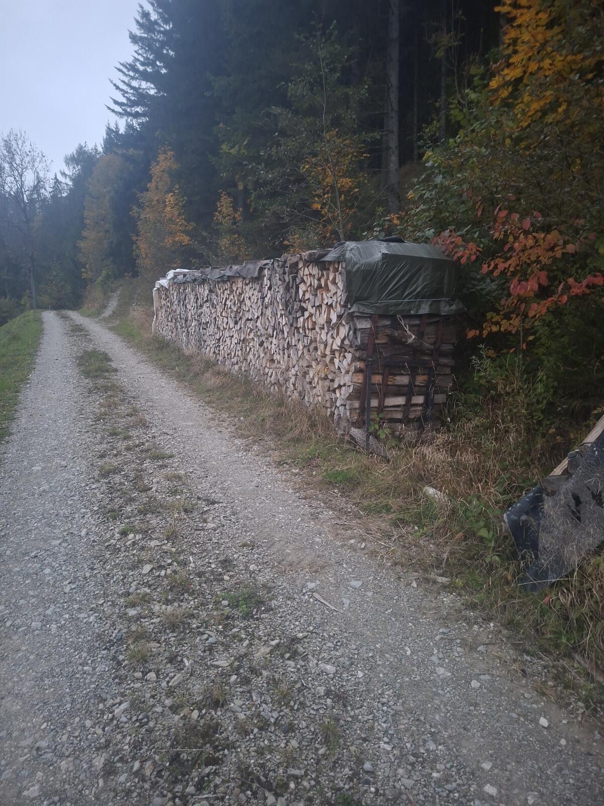 Brennholz 2