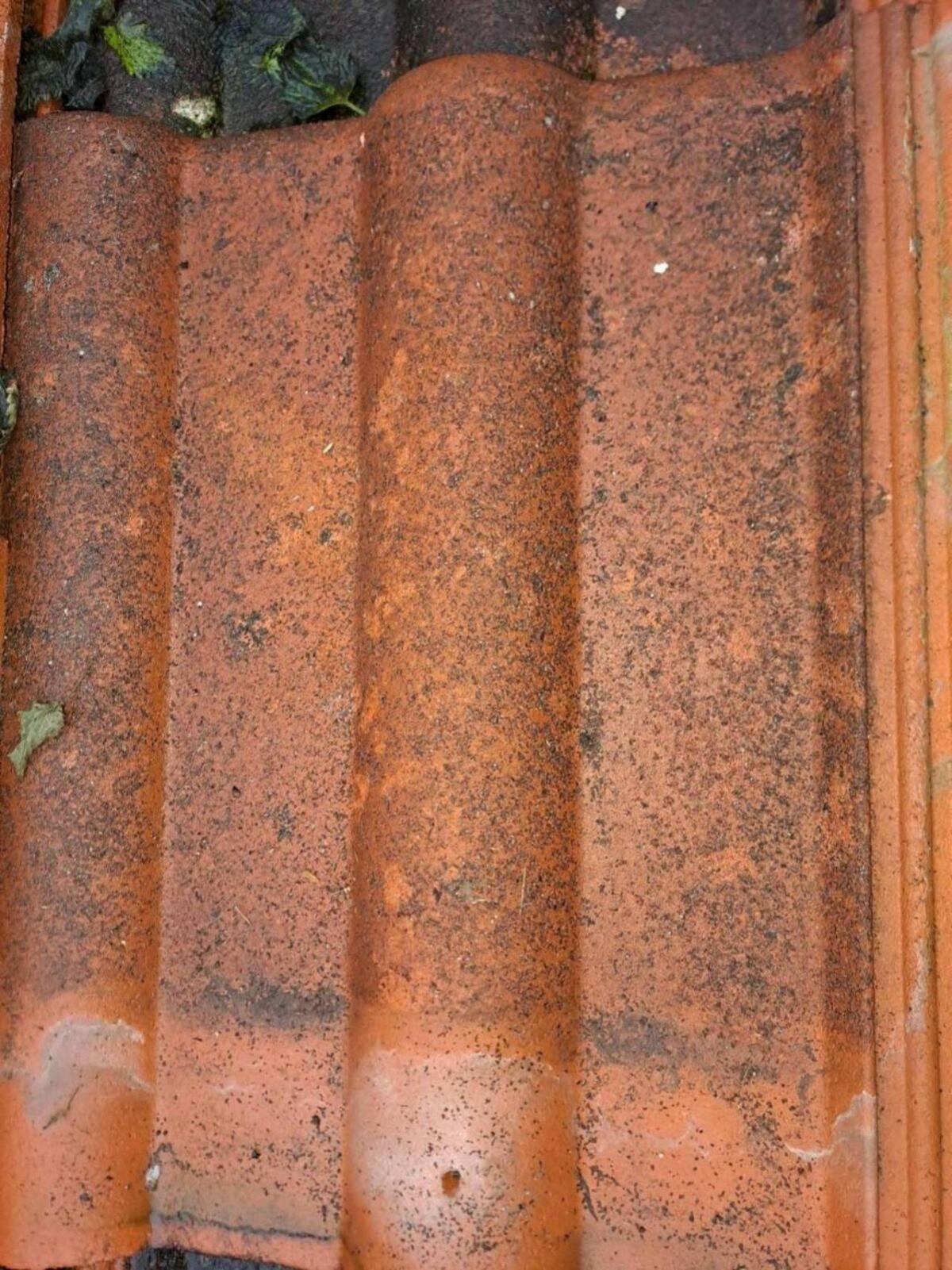 Bramac Dachziegel 2