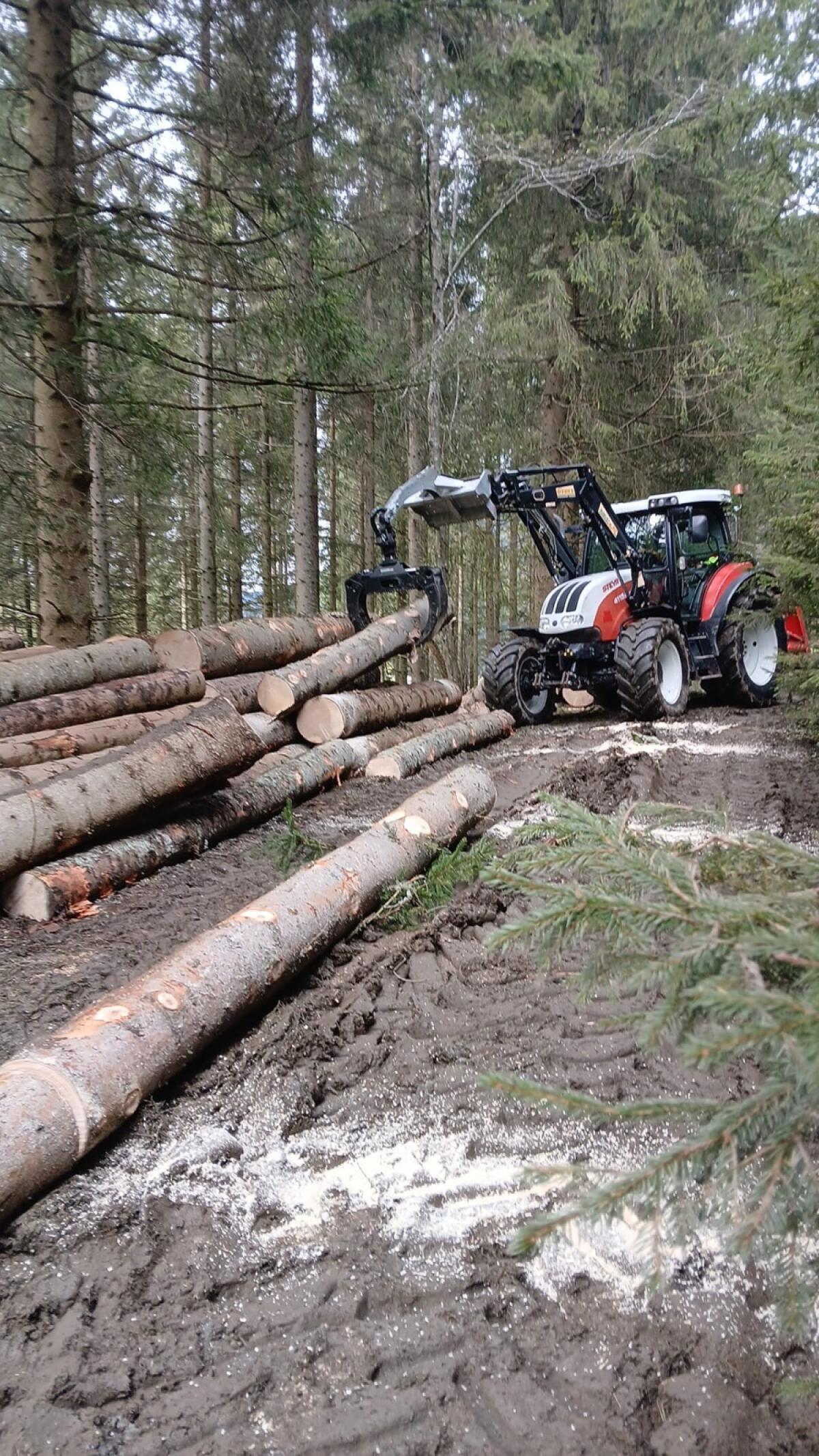 Forstdienstleistungen 3