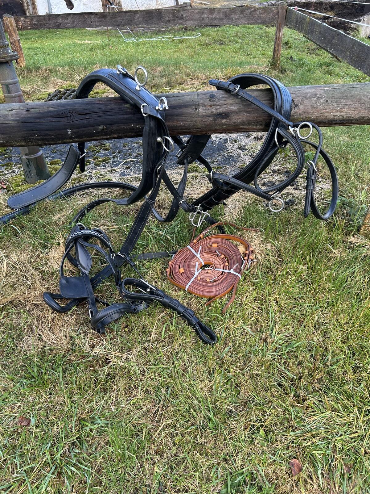 Zweispänner Brustblattgeschirr Gr. Cob 3