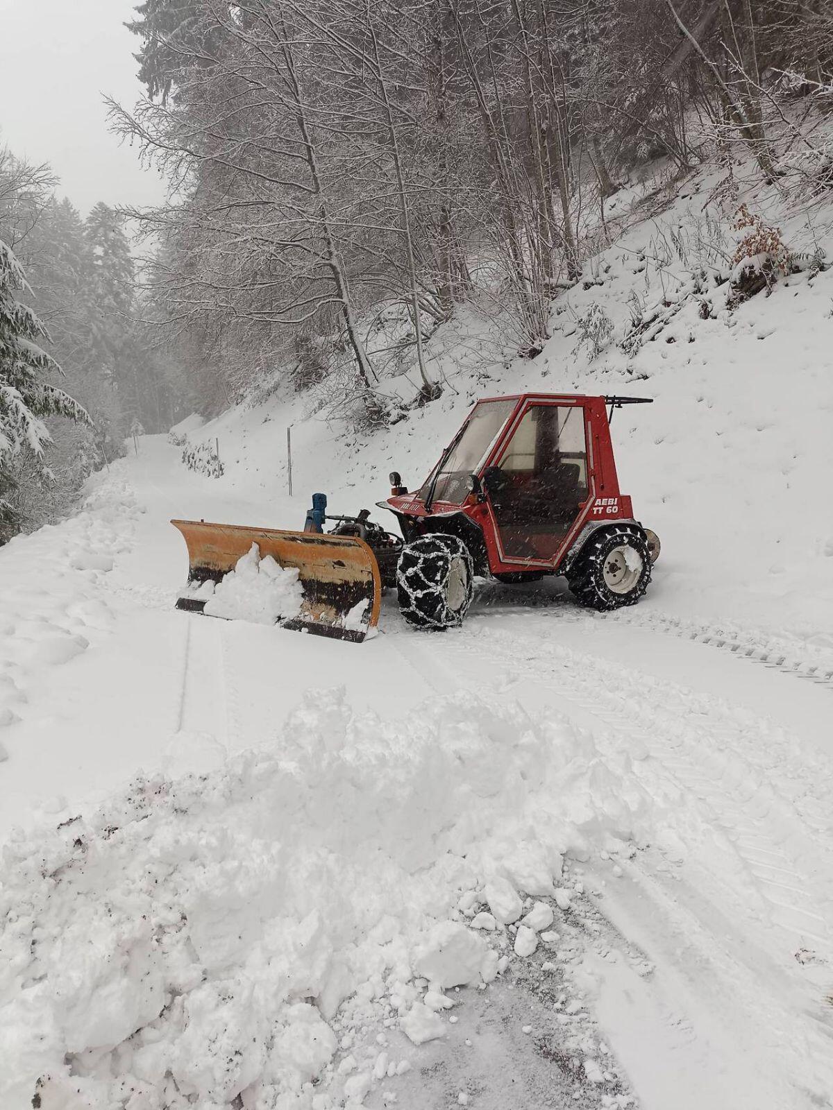 Schneepflug Hauer 1
