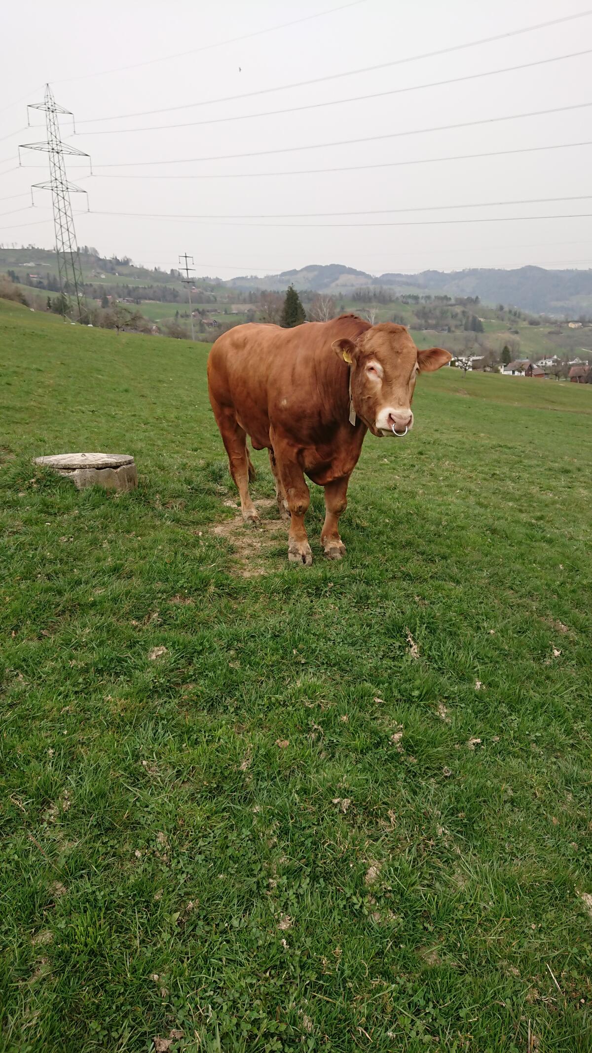 Landwirtschaftlicher Mitarbeiter 1