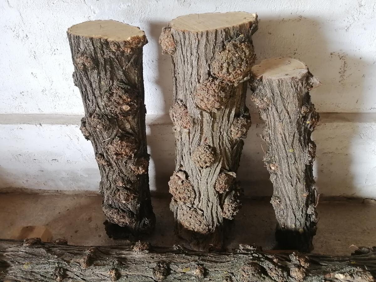 Baumstämme zu verkaufen 1