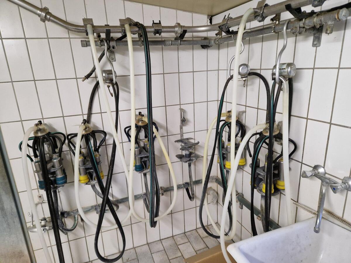 Rohrmelkanlage Absauganlage Westfalia 2