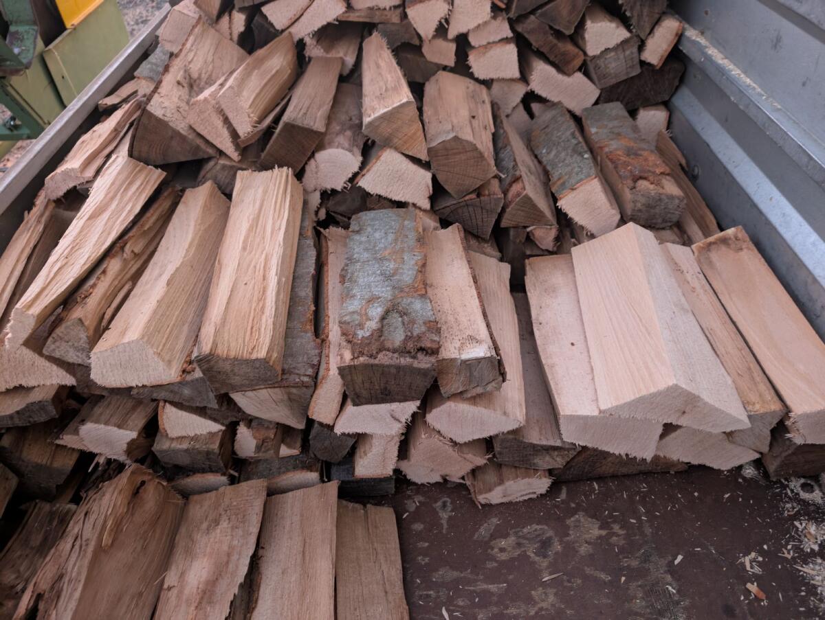 Brennholz Buche 1