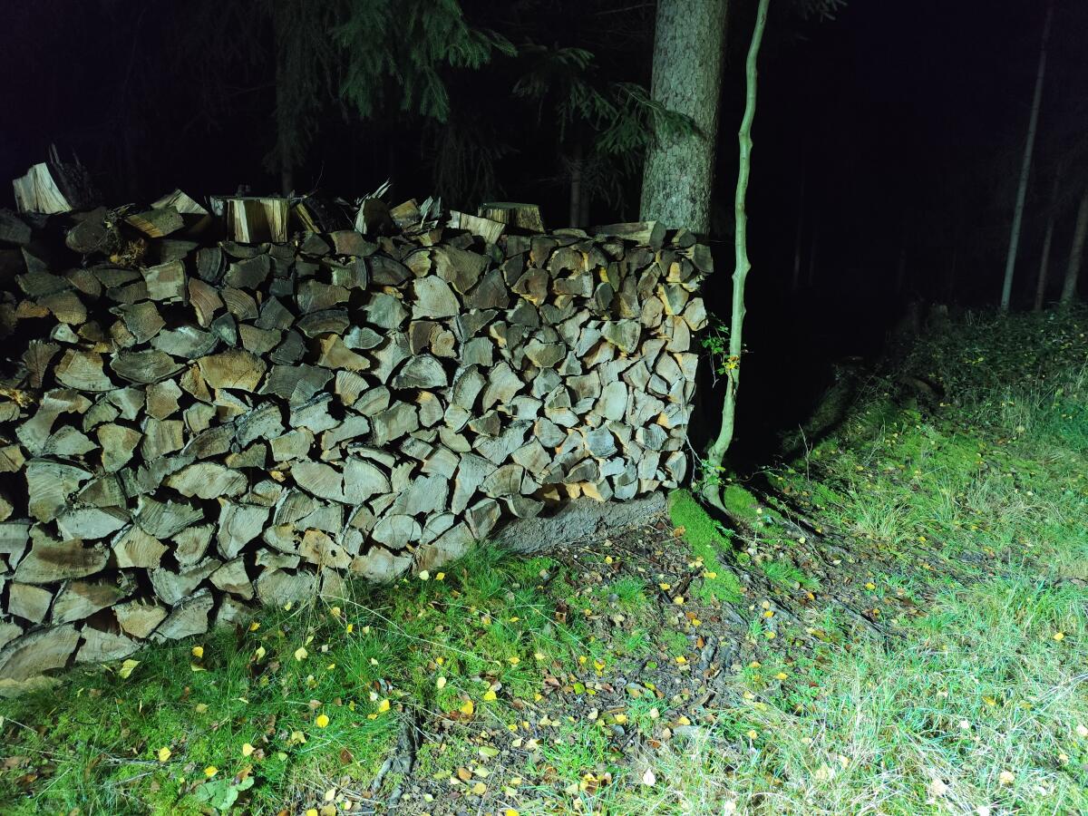 Buchenscheiter trocken 1