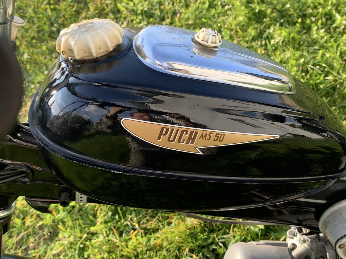 Puch MS 50 Original Typenschein, sehr schöner Zustand 1