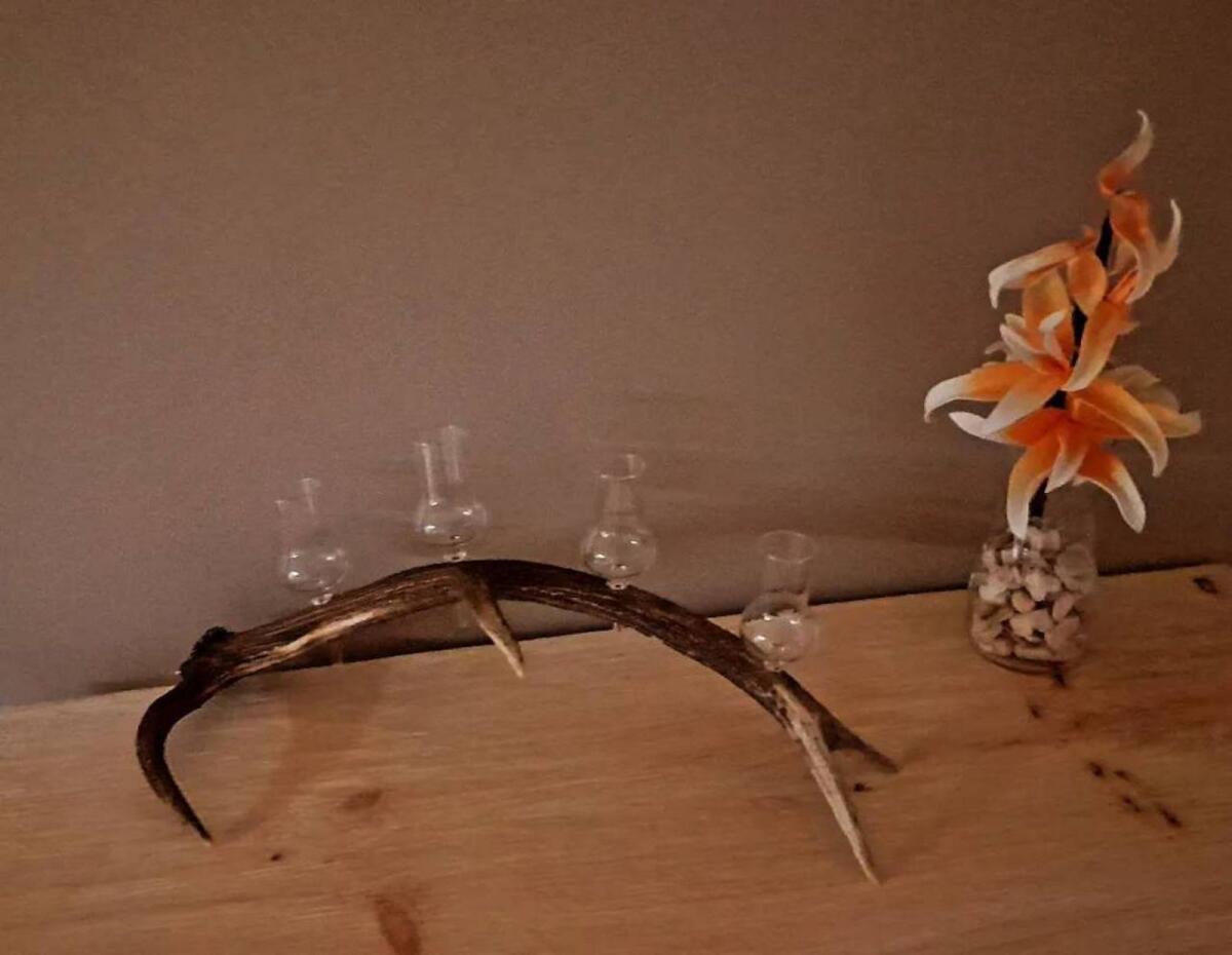 Hirschgeweih mit 4 Schnapsgläsern, urig 2